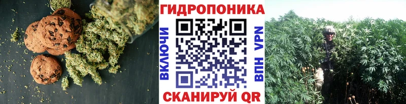 купить   Полярные Зори  Еда ТГК конопля 