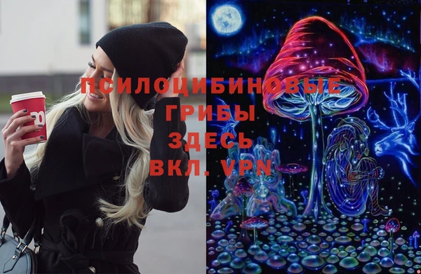 mdpv Армянск
