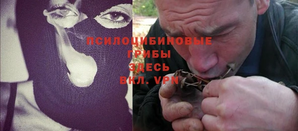 индика Арсеньев