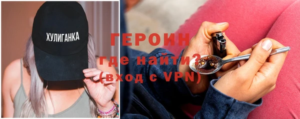 индика Арсеньев