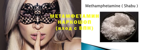 индика Арсеньев