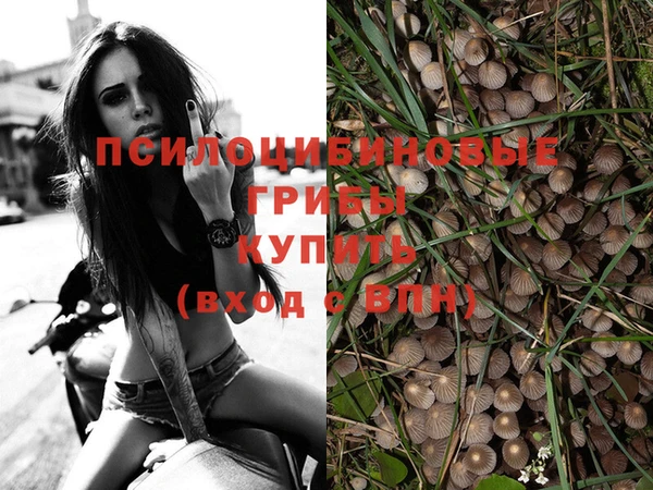 индика Арсеньев