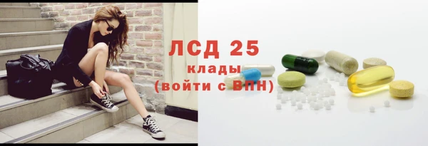 индика Арсеньев