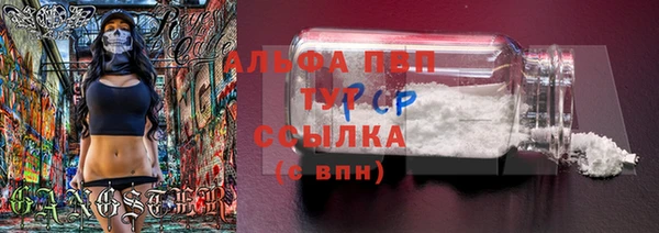 индика Арсеньев