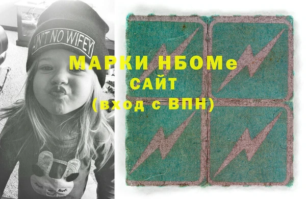 индика Арсеньев