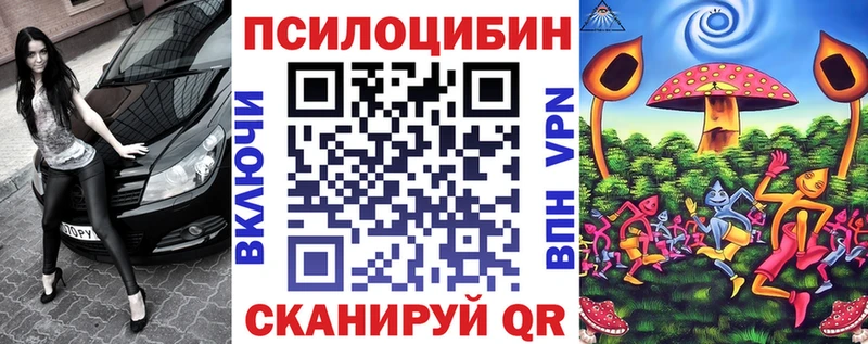 купить   Полярные Зори  Псилоцибиновые грибы ЛСД 